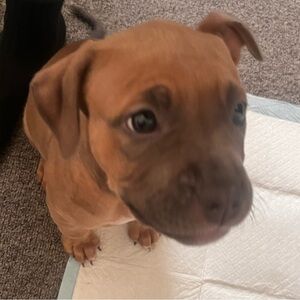 Meet your Posher, Ciara